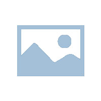 香蕉式安全爬梯简介